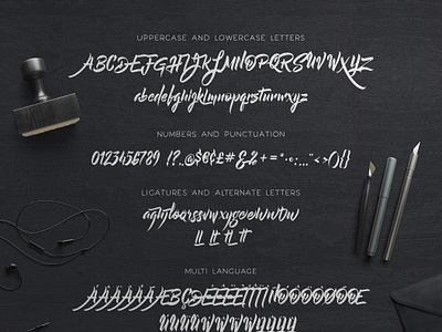 Leviafan Script Fonts by Kavoon on Dribbble