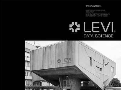 LEVI®  Data science - Visual Identity