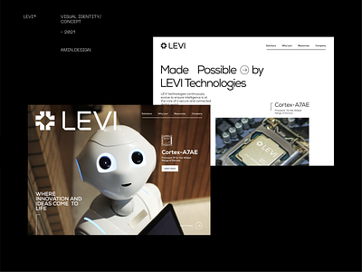 LEVI®  Data science - website portfolio