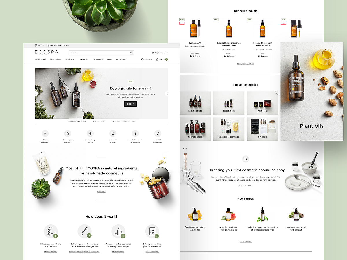 Organic Website Creative Header by Sasha Shumara on Dribbble