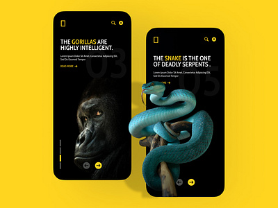 National Geographic Redesign 3d app branding design graphic design minimal motion graphics ui