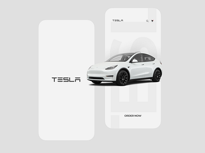 Tesla Model Y Mobile App