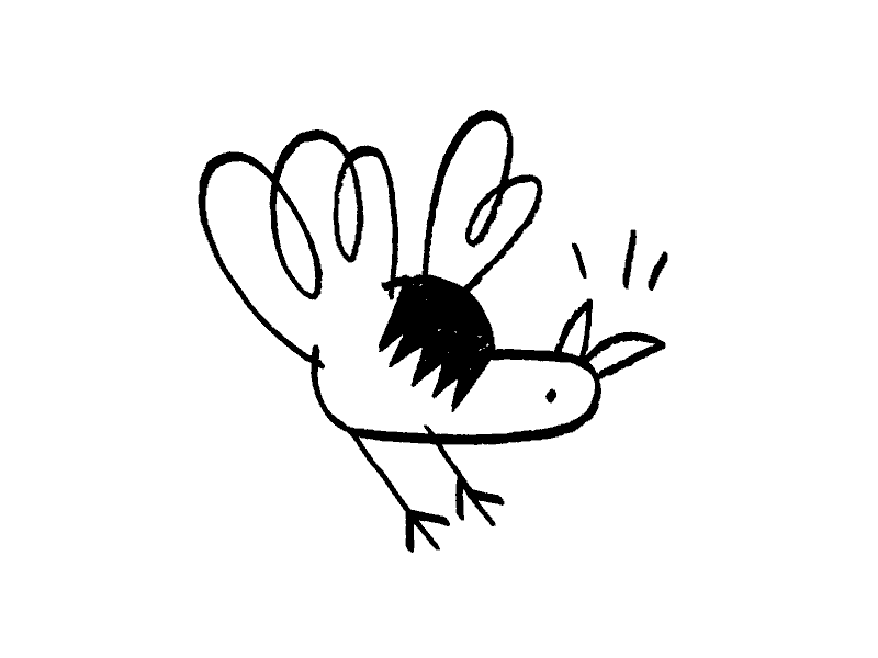 Cuckoo by Antony Filyk on Dribbble