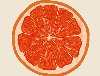 Citrus 2d illustration bold colors design digital freehand fruit illustration orange pencil summer texture