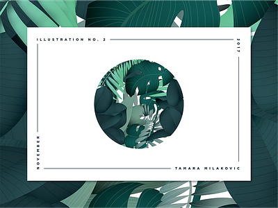 Tropical illustration art drawing graphic design illustration leaf leaves palm philodendron tropical