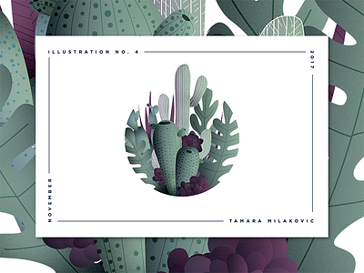 Cactus illustration