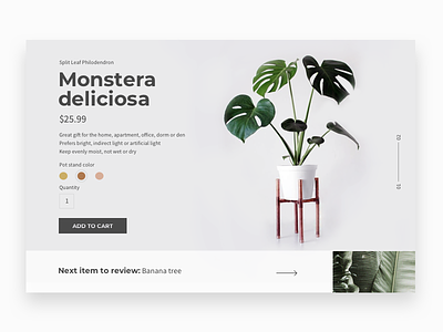 Daily UI #033 - Customize Product add to cart cactus card challenge color picker customize customize product daily ui daily ui 033 daily ui challenge dailyui monstera nature plant pot product product page single product ui web page