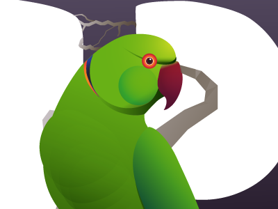 P is for alphabet animal bird gradient illustration parrot typography vector