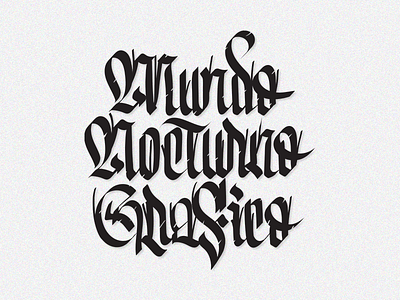 Mundo Nocturno Grafico art of type calligraphy font good type hand lettered hand made font lettering letters modern calligraphy type typegang typography