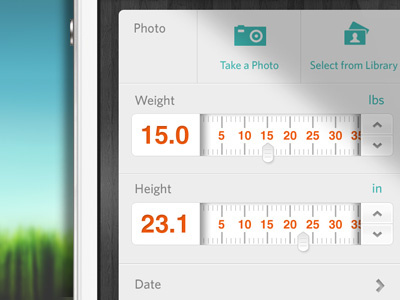 Fidotown - Weight / Height app grey gui height input iphone library mobile photo scale ui ux weight