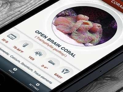 Coral Reference Guide - iPhone App app coral design icons iphone mobile nav navigation reef saltwater tank ui