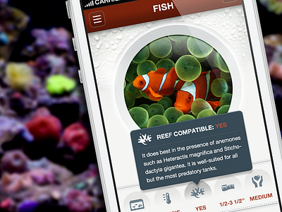Fish Reference Guide - iPhone App Pop-Up app coral design fish icons iphone mobile nav navigation pop up reef saltwater tank tooltip ui
