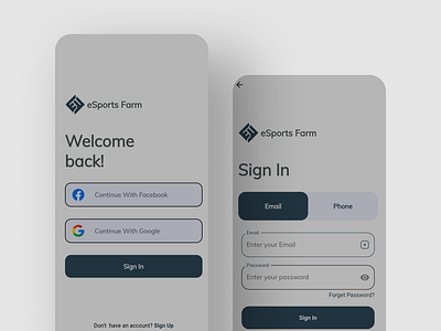 Login Using Email & Phone Design