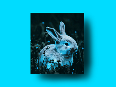 The Blue Rabbit Illustration design graphic design illustration light fushion