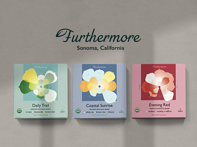 Infographics Inspired Tea Packaging Design design graphic design illustration logo