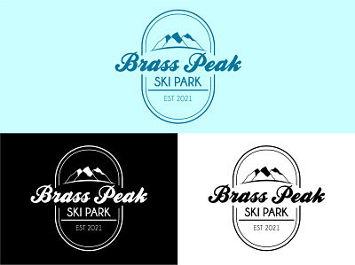 Ski Park Logo (Brass Park) branding graphic design logo
