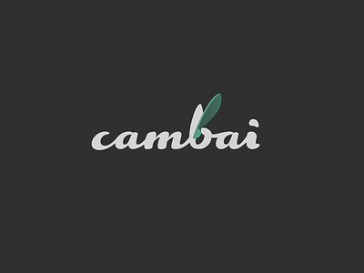 cambai branding design logo typography