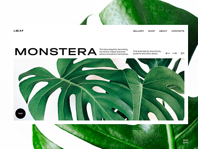 Plant Shop Website Design Concept - Home Page UI