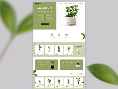 plants shop concept beautifull pallet branding color pallet design graphic design nature online shopping plants ui ux web