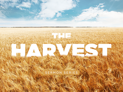 The Harvest - Sermon Series artwork church church design design logo sermon series slide design