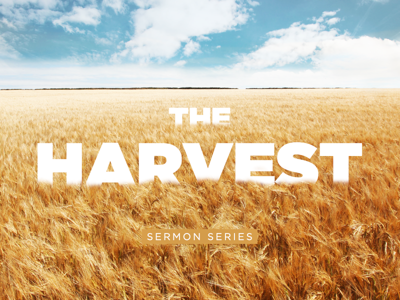 The Harvest Sermon Series by Mike Hudson on Dribbble