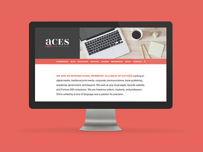 ACES aces clover custom custom icons site teacher website