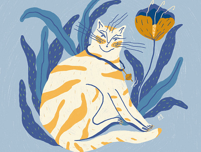Cat design illustraion illustration procreate art