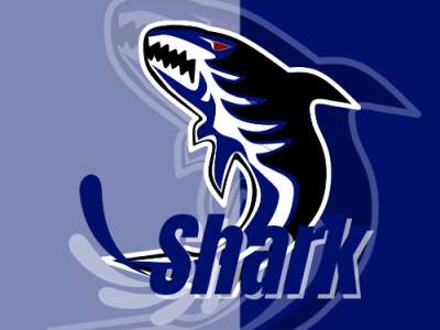 Example Logo Shark Esport art branding design design art design grafis designhub esportlogo esports flatdesign game logo graphic design illustration logo loop mobile sport vector vector art