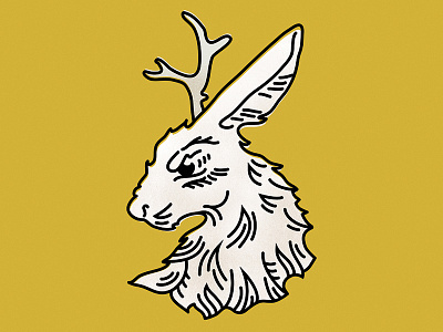 Jack illustration jackalope rabbit