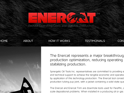 Enercat Website Design