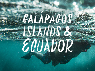 Galápagos Islands & Ecuador — Work in progress brush brush script lettering script type typography