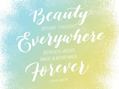 Beauty beyond thought brush gestural handdrawn handdrawntype johnmuir lettering quote script type typography