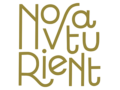 The 100 Day Project: Novaturient