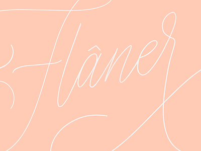 The 100 Day Project: Flâner