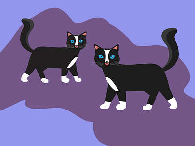 Staring Cats - Illustration cats illustration