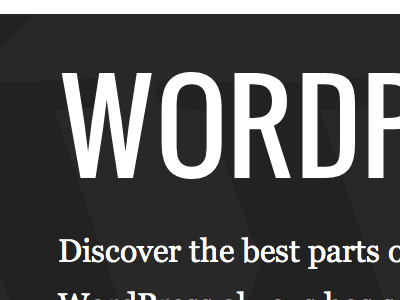 WordPress Project wordpress