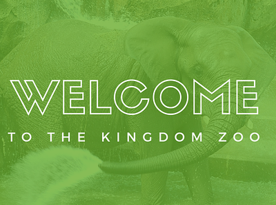 Welcome to the Kingdom Zoo - Responsive Web Design brand design branding branding agency branding design deck design interactive design marketing campaign minimal