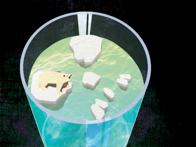 Bear on the rocks. bear glass global ice illustration polar warming water