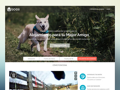 Dogsy responsive ui ux web design