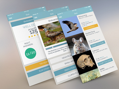 Nature and History Quiz for GIB Museum App app interface design ios mobile first quiz ui ux