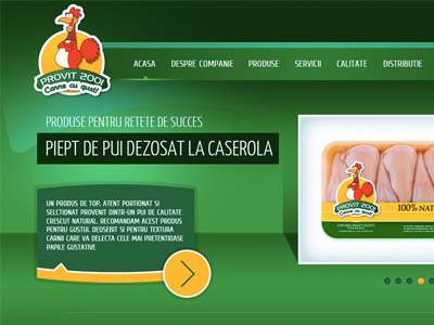 Webdesign Provit