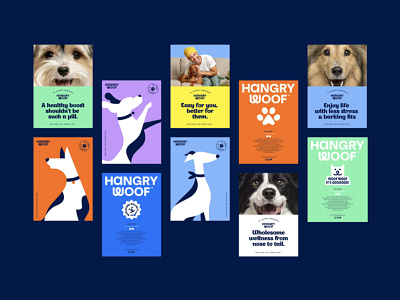The HangryWoof branding design dog dog supplements graphic design pet pet supplements poster poster design systematic typography