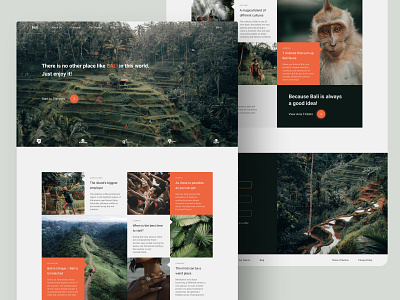 Bali Landing Page Design Concept bali design design concept desktop landing travel ui website