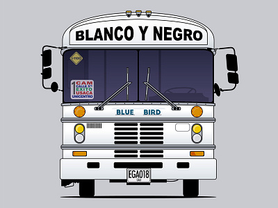 Bus Blanco Y Negro