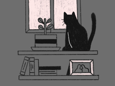 Cat cat moody pencilsketch pet plant rainyday