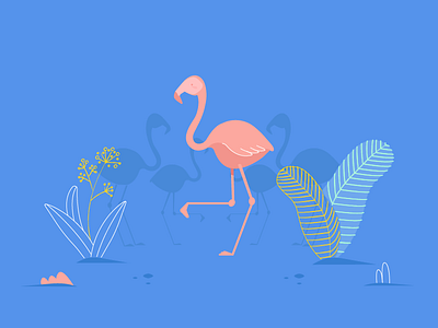 Flamingo