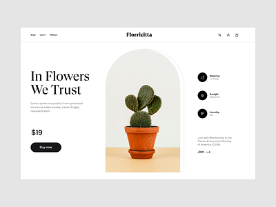 In Flowers We Trust design flowers inflowerswetrust plant ui webdesign