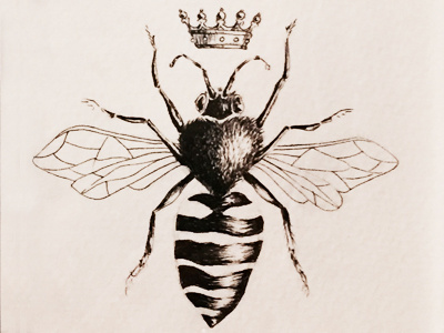 Queen Bee bee ink queen sketch