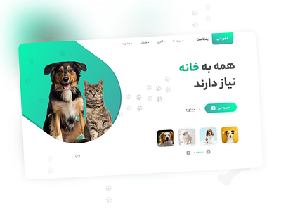 Pet Care Website animal cat concept design design dog graphic design iaghapour pet site ui uiux web