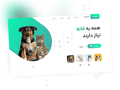 Pet Care Website